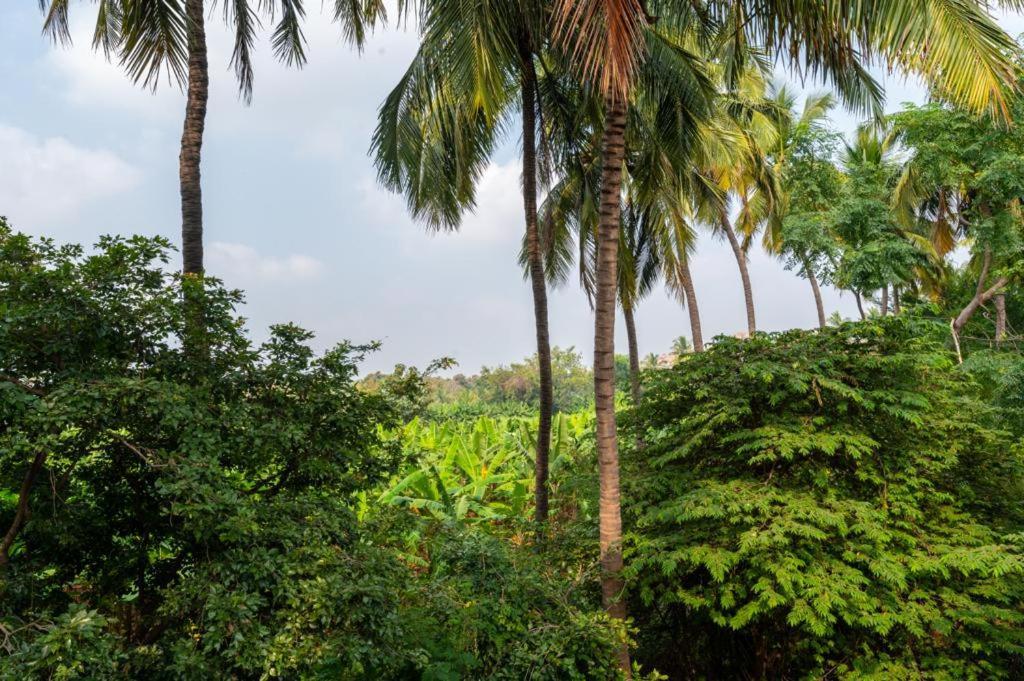 Saptami Hampi Homestay Luaran gambar